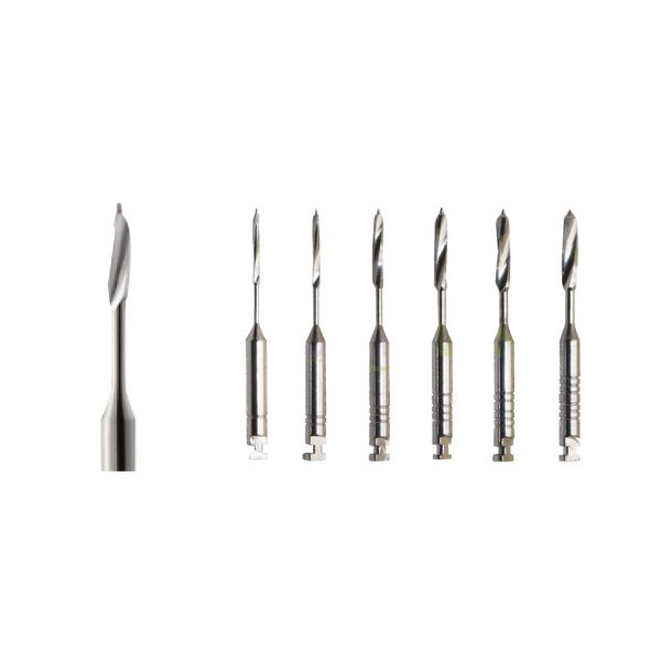 BROCAS PEESO